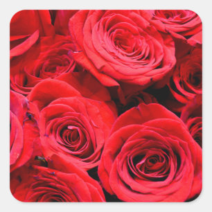 Elegante rode rozen en bloemenfoto  vierkante sticker