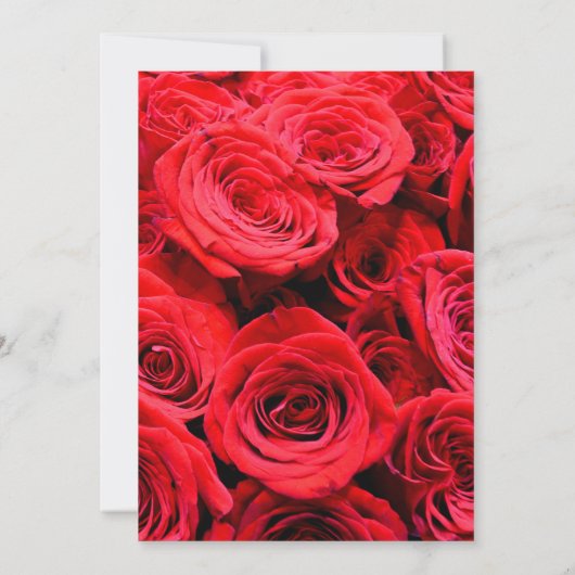 Elegante rode rozen rode bloemen rode bloemen kaart (Achterkant)