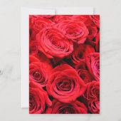 Elegante rode rozen rode bloemen rode bloemen kaart (Achterkant)