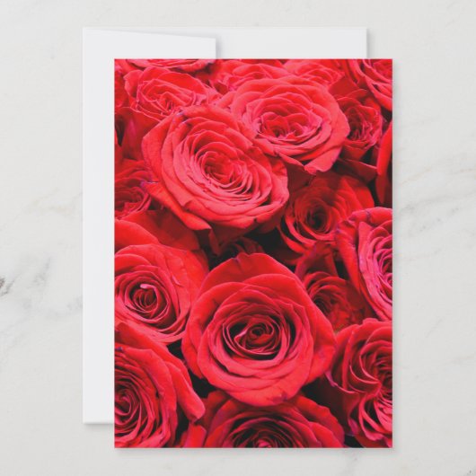 Elegante rode rozen rode bloemen rode bloemen kaart (Achterkant)