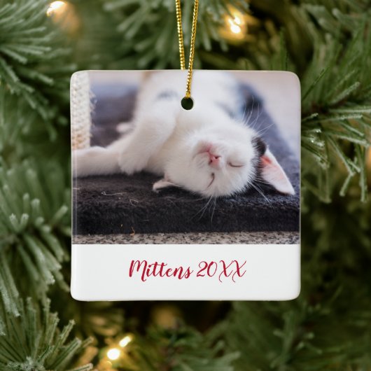 Elegante rode script huisdier kat foto modern keramisch ornament (Boom)