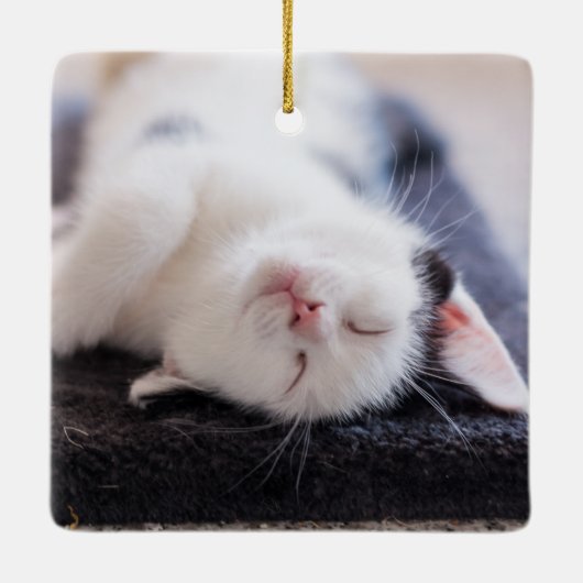 Elegante rode script huisdier kat foto modern keramisch ornament (Achterkant)