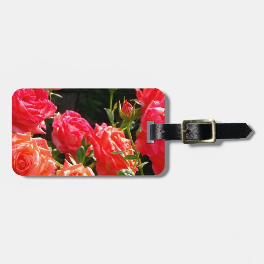 Elegante rode sinaasappel koraal rozen roos tuin bagagelabel (Voorkant horizontaal)