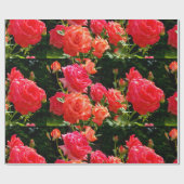 Elegante rode sinaasappel koraal rozen roos tuin cadeaupapier (Vlak)