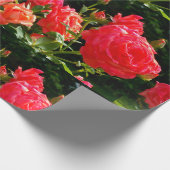 Elegante rode sinaasappel koraal rozen roos tuin cadeaupapier (Hoek)