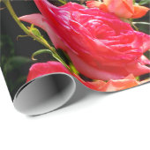 Elegante rode sinaasappel koraal rozen roos tuin cadeaupapier (Rol Hoek)