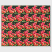 Elegante rode sinaasappel koraal rozen roos tuin cadeaupapier (Vlak)