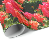 Elegante rode sinaasappel koraal rozen roos tuin cadeaupapier (Rol Hoek)