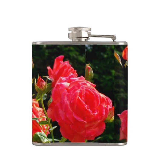 Elegante rode sinaasappel koraal rozen roos tuin heupfles (Achterkant)