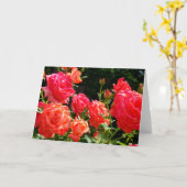 Elegante rode sinaasappel koraal rozen roos tuin kaart (Gele Bloem)