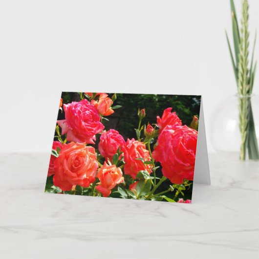 Elegante rode sinaasappel koraal rozen roos tuin kaart (Voorkant)