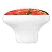 Elegante rode sinaasappel koraal rozen roos tuin keramische knop (Zijkant)