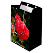 Elegante rode sinaasappel koraal rozen roos tuin medium cadeauzakje (Achterkant Gekanteld)
