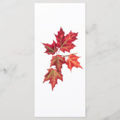 Elegante rode Sinaasappel val bladeren bruiloft Menu (Achterkant)