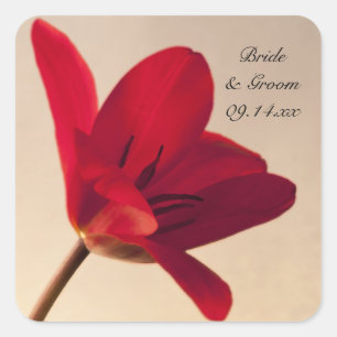 Elegante rode tulp bruiloft envelop afdichtingen vierkante sticker