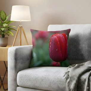 Elegante rode tulp met dauwdruppels kussen