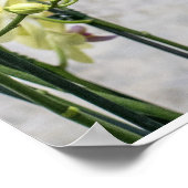 Elegante Romantische Crème & Lila Orchideeën Poster (Hoek)