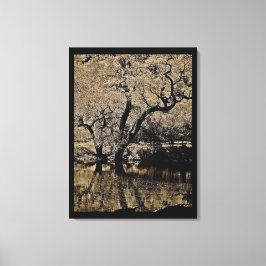 ELEGANTE, ROMANTISCHE REFLECTIE VAN EEN BOOM CANVAS AFDRUK