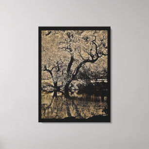 ELEGANTE, ROMANTISCHE REFLECTIE VAN EEN BOOM CANVAS AFDRUK