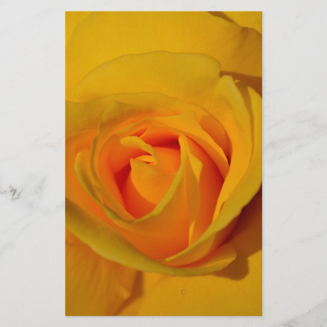 elegante romantische Yellow Rose close-up (Voorkant)