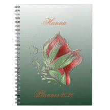 Elegante Rood en Groen Spiraal Notitieboek