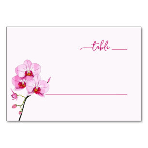 Elegante Roze Bloem Orchidee Illustratie Kaart