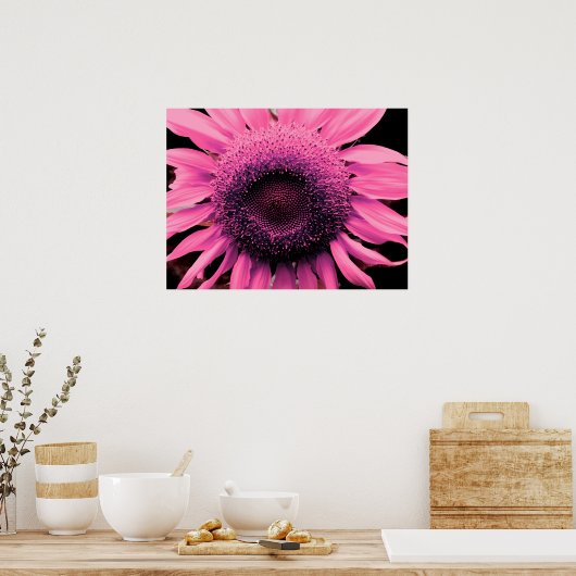 Elegante roze bloem Zonnebloem roze bloem Poster (Keuken)