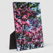 Elegante roze bloemen bloeiende hondenboom fotoplaat (Zijkant)