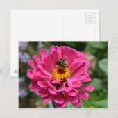 Elegante roze bloemen bloem moeder madeliefje honi briefkaart (Voorkant / Achterkant)