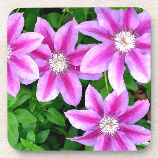 Elegante roze bloemen groen botanische drankjes onderzetter (Voorkant)