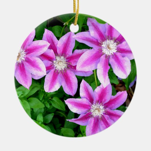 Elegante roze bloemen groen botanische keramisch ornament (Voorkant)