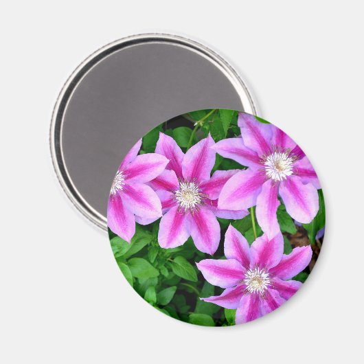 Elegante roze bloemen groen botanische magneet (Voorkant / Achterkant)