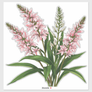 Elegante Roze Bloemen Met Groene Bladeren Sticker