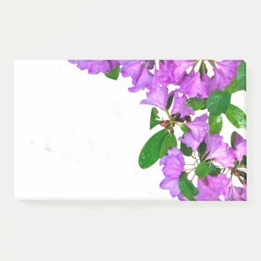 Elegante roze bloemen roze azalea's roze bloemen post-it® notes (Voorkant)