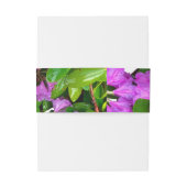 Elegante roze bloemen roze azalea's roze bloemen uitnodigingen wikkel (Achterkant Voorbeeld)