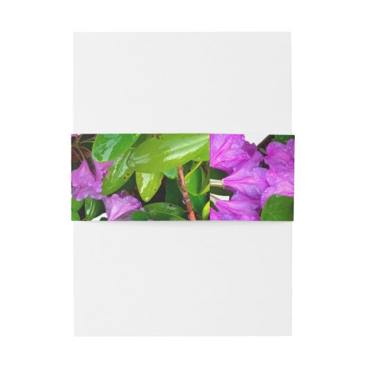 Elegante roze bloemen roze azalea's roze bloemen uitnodigingen wikkel (Achterkant Voorbeeld)