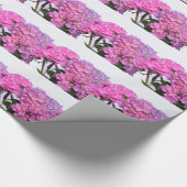 Elegante roze bloemen roze hydraea cadeaupapier (Hoek)