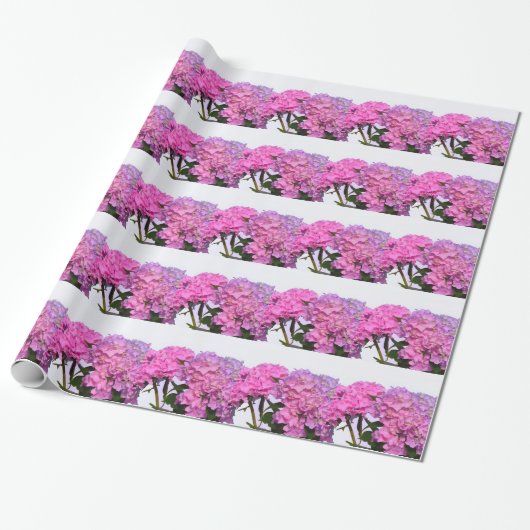 Elegante roze bloemen roze hydraea cadeaupapier (Uitgerold)