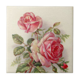 Elegante Roze Bloemen rozen  Home Decor tegel Tegeltje