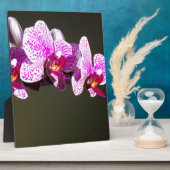 Elegante roze bloemen tropische roze orchideeën fotoplaat (Zijkant)