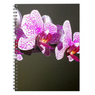 Elegante roze bloemen tropische roze orchideeën notitieboek