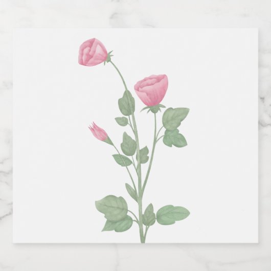 Elegante roze bloemenbloemen Waterverf bruiloft Sparkling Wijnetiket (Enkel label)