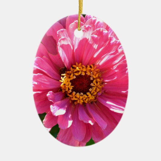 Elegante roze bloemenretro roze madeliefje keramisch ornament (Voorkant)