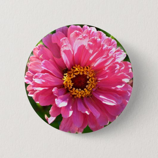 Elegante roze bloemenretro roze madeliefje ronde button 5,7 cm (Voorkant)