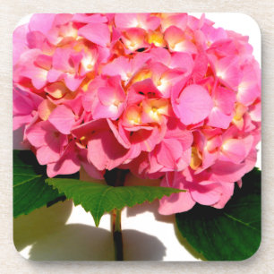 Elegante roze bloemenroze hortensia drankjes onderzetter