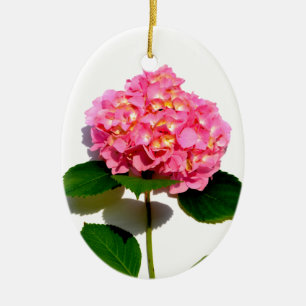 Elegante roze bloemenroze hortensia keramisch ornament