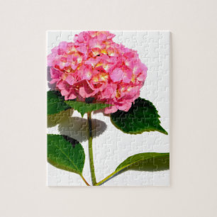 Elegante roze bloemenroze hortensia legpuzzel