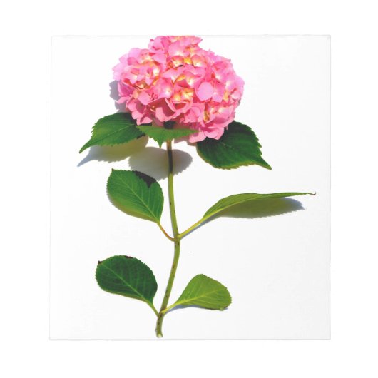 Elegante roze bloemenroze hortensia notitieblok (Voorkant)