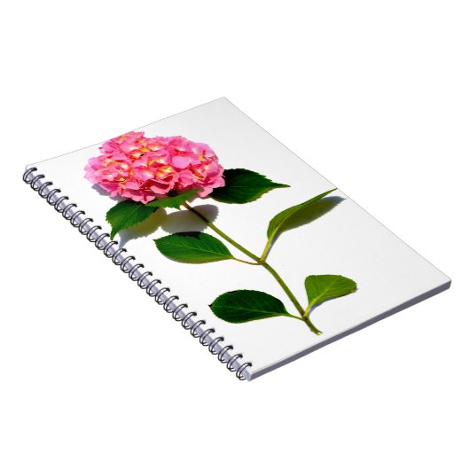 Elegante roze bloemenroze hortensia notitieboek (Rechterzijde)