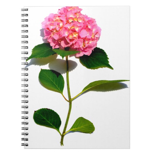 Elegante roze bloemenroze hortensia notitieboek (Voorkant)